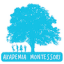 Akademia Montessori Anna Kotlińska