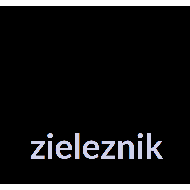 Zieleznik.Pl Aleksander Zieleźnik