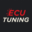 Ecu-Tuning Company - Jacek Idczak