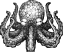 Octopi Ksenia Gabriel