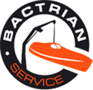 Bactrian Service Project - Artur Pyka
