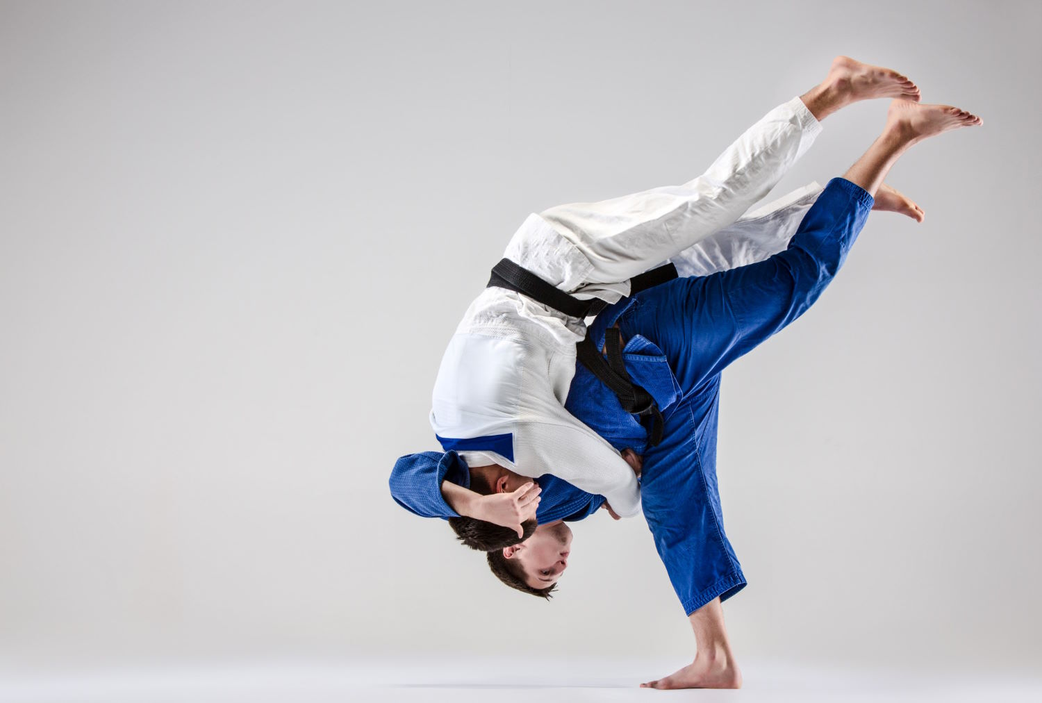 Michał Wachowicz, Wschodnio-Europejska Federacja Yoshinkan Aikido
