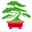 Art Bonsai Jadwiga Krysiak