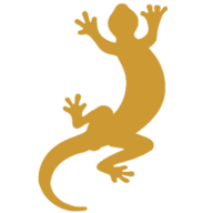 Triturus Usługi Przyrodnicze Ewa Jędrzejewska-Domalewska