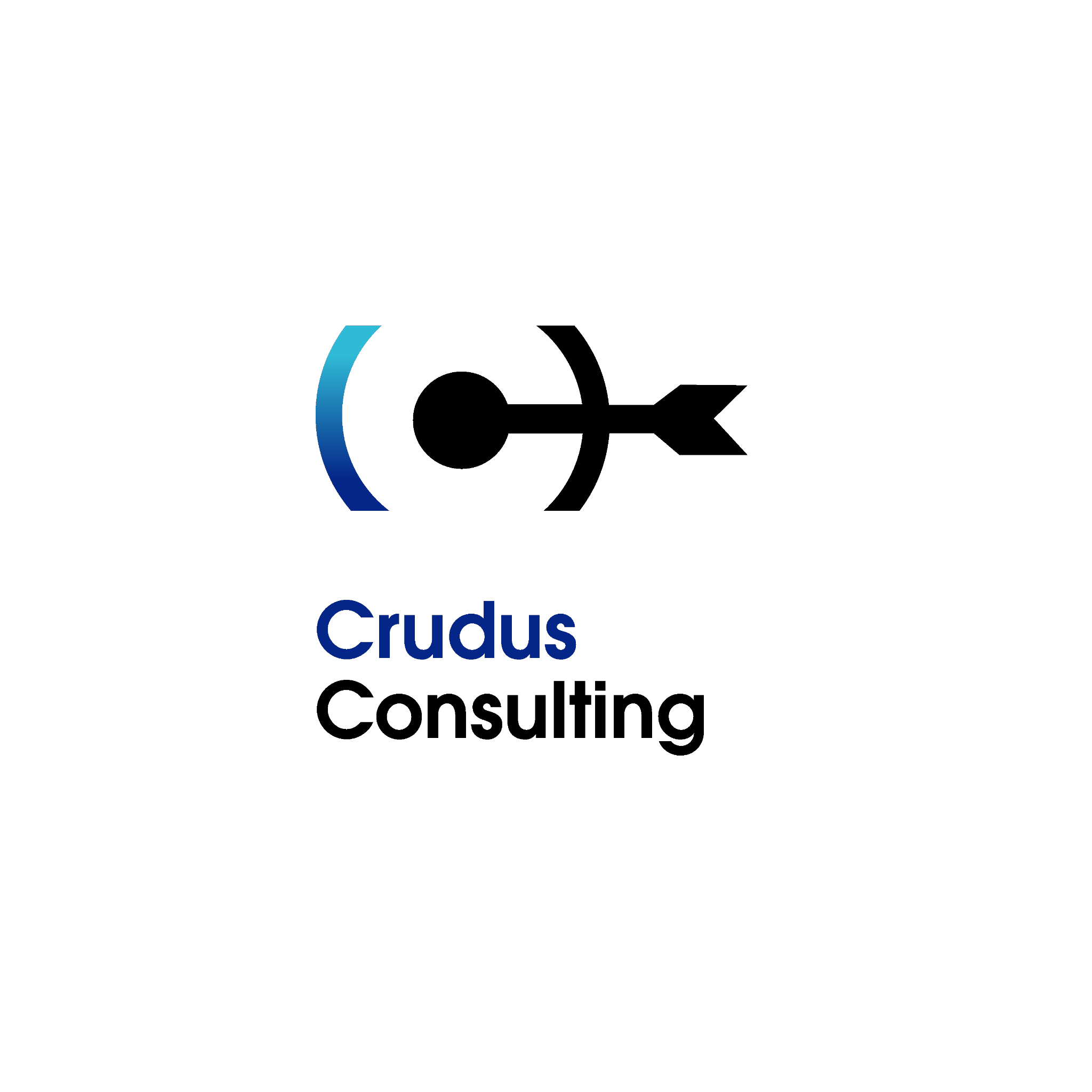 Crudus Consulting Hubert Barański