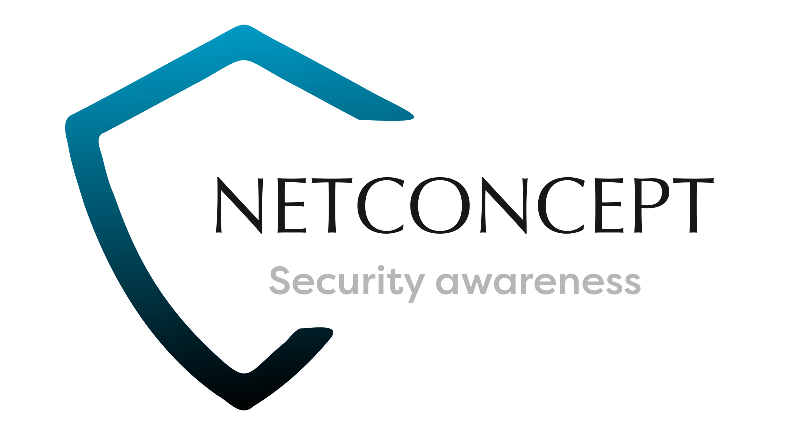 Netconcept Mariusz Skibiński