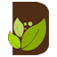 Dendrokoncept Mateusz Jasion