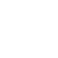 MZM Profi Marek Zieliński
