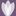 Estetiqa Kosmetologia Paulina Dembska