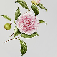 Anna Kozłowska An.Flor Flower&Decor
