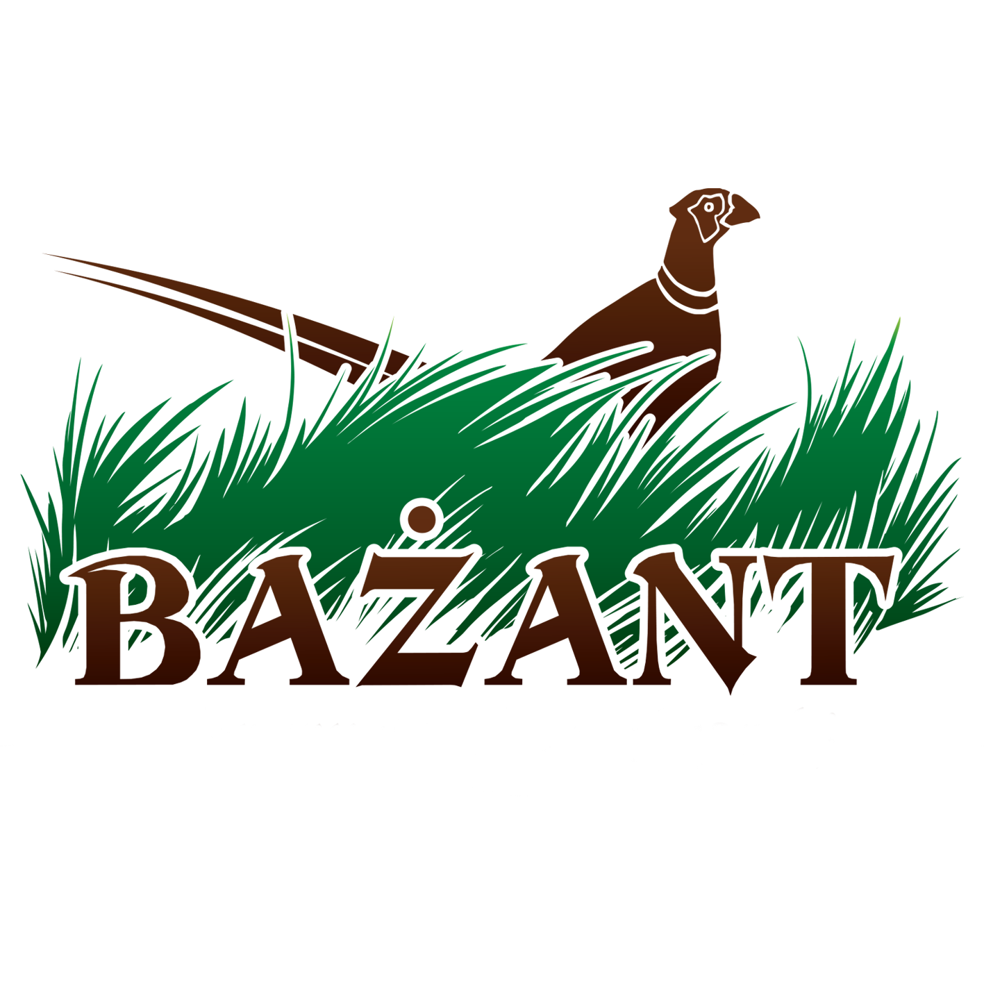 Karpisz-Kaczmarczyk Bożena Animals Gabinet Weterynaryjny I Sklep Zoologiczny; Sklep Myśliwsko-Wędkarski Bażant