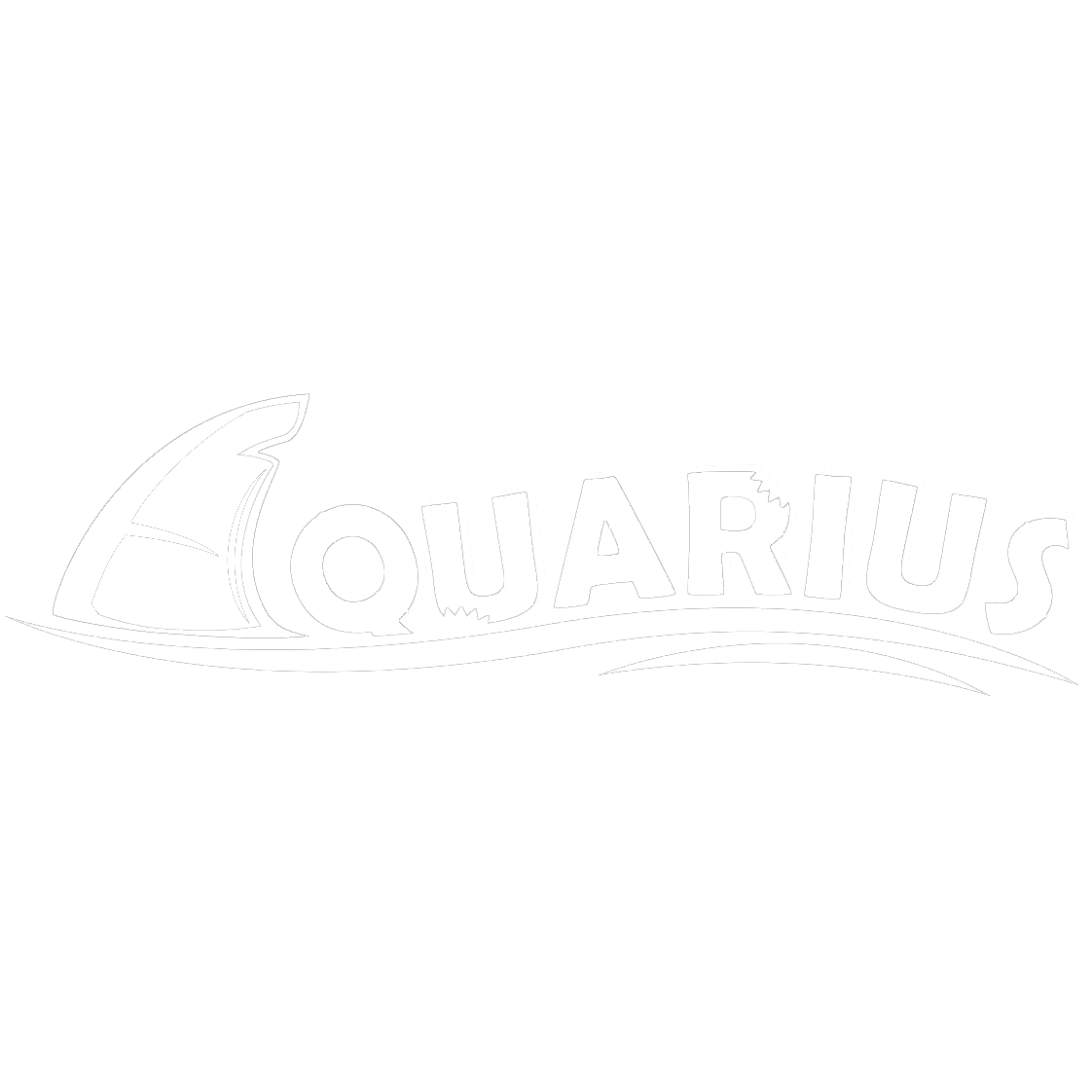 Aquarius Artur Perkowski