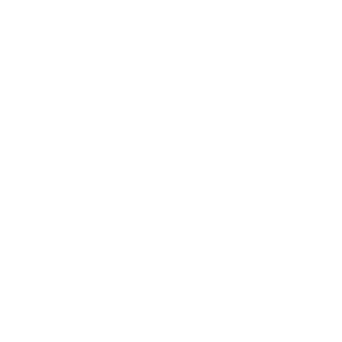 Pro Juvenes Foundation