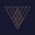 Vortune Equity Group S.A.