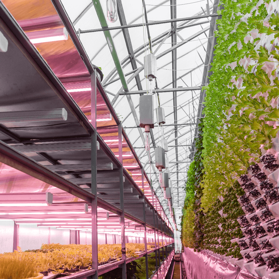 Green Choice Farm sp. z o.o.