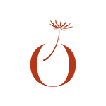 Fundacja Babie Lato Foundation