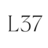 Loft37 sp. z o.o.