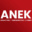 Anek sp. j.