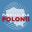 Fundacja dla Polonii Foundation