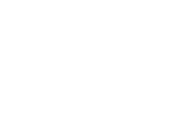 Global Arms sp. z o.o.