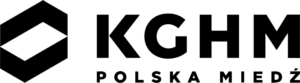 Sieć Badawcza Łukasiewicz - Warszawski Instytut Technologiczny Research institute