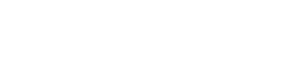 Revolt P.S.A.