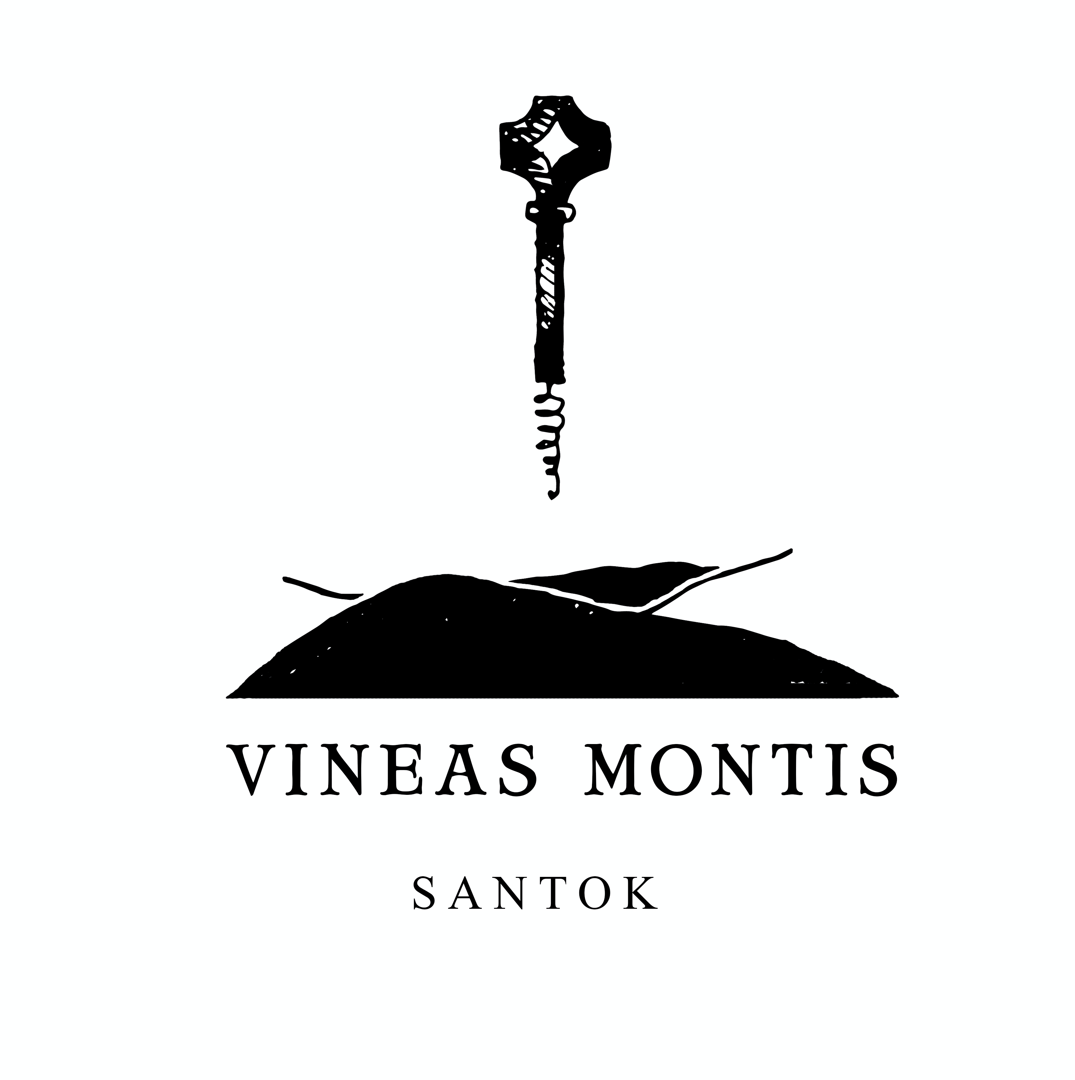 Winnica Vineas Montis