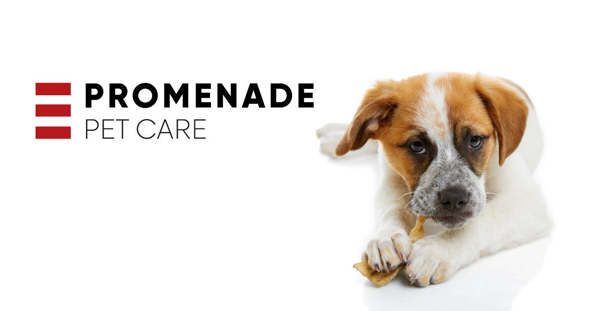 Promenade Pet Care S.A.