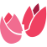 Tulipan Panią sp. z o.o.