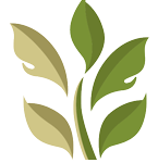 Medycyna Simclinic sp. z o.o.